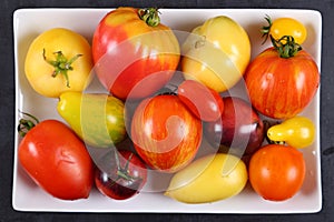 Colorful tomatoes