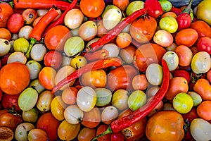 Colorful Tomatoes and Red Chili