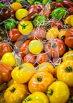 Colorful tomatoes on sale