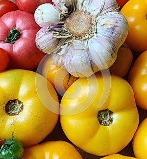 Colorful tomatoes, yellow and red tomatoes, garlic bulb, fresh vegetables, summer vegetable harvest, natural vitamins, juicy veget