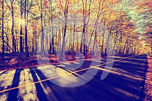 By the Colorful Treed Autumn Road - Vintage