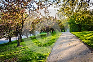 Colorful trees along a path in Druid Hill Park, Baltimore, Maryland.