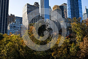 Colorful Trees during Autumn at Central Park with Midtown Manhattan Skyscrapers in the Background