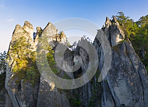 Colorful trees in autumn forest at Sulov rock window