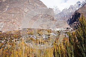 Colorful Trees in autumn season in Hunza Valley