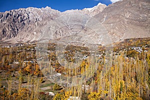 Colorful Trees in autumn season in Hunza Valley