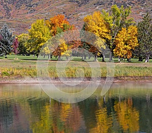 Colorful trees during autumn time along the lake shore