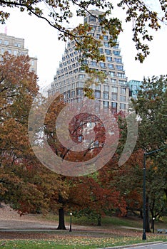 Colorful trees with buildings in the background, urban nature