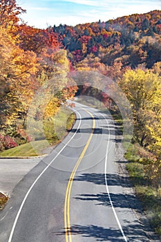 Colorful trees changing color in the fall in New England