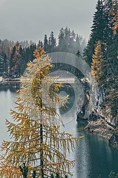 Colorful trees and emerald waters of Lago di Braies in autumn photo