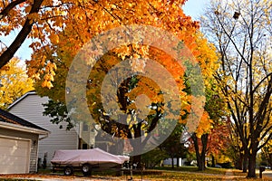 Colorful trees in the fall season in a row of houses