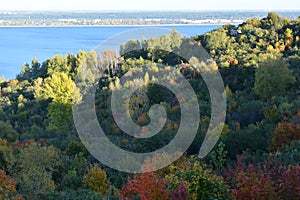 Colorful trees in the forest on the bank of Volga river. Beautiful landscape in the beginning of autumn