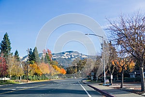 Colorful trees lining up a road through Danville, Mt Diablo summit in the background