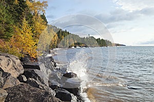 Colorful trees and pines on shore of Lake Superior during autumn