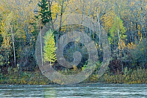 Colorful Trees in River Valley