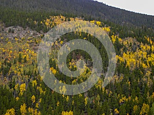 colorful trees in the rocky mountains