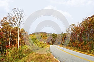 Colorful Trees on the Side of a Curving Mountain Road