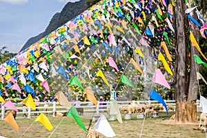 Colorful triangular flags