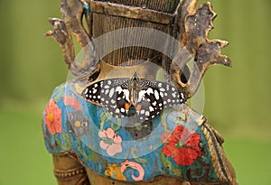 Colorful tropical butterflies on the Buddha statue.  Different butterflies flutter.
