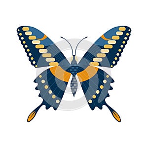 Colorful Tropical Butterfly Moth Icon in Cartoon