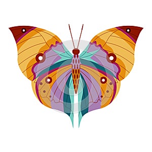 Colorful Tropical Butterfly Moth Icon in Cartoon