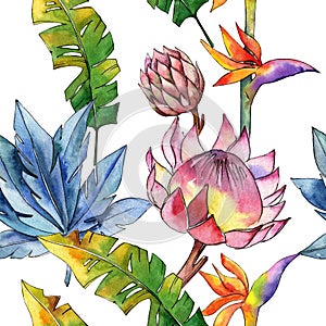 Colorful tropical plants. Floral botanical flower. Seamless background pattern.