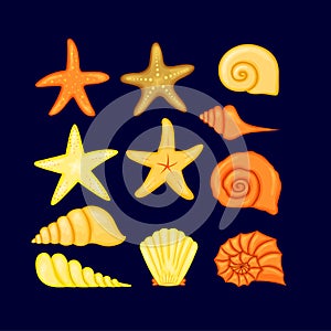 Colorful tropical shells underwater icon set frame of sea shells, vector illustration.Summer concept with shells and sea