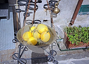 Colorful fruits on italian street market. photo