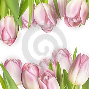 Colorful tulip blooms card. EPS 10