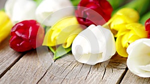 Colorful tulip flowers in a row on wooden background in 4K VIDEO. Spring flowers.