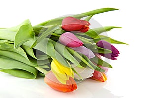 Colorful tulips