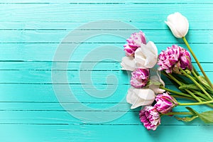 Colorful tulips flowers on bright turquoise wooden background.