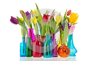 Colorful tulips in glass vases