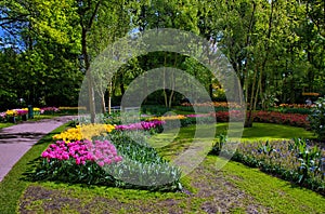 Colorful tulips, Keukenhof Park, Lisse in Holland