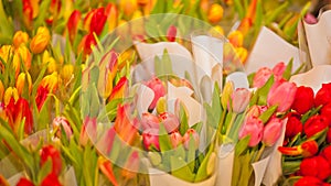 Colorful tulips for sale in the market. Flower market or store. Woman`s day. Mother day