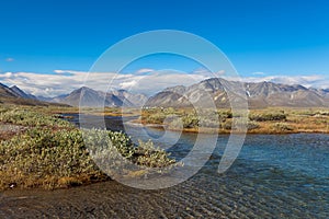 Colorful tundra in front of the river and mountains, Russia