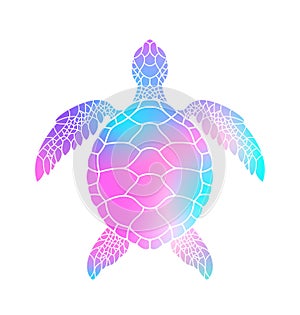 Colorful turtle. Vector illustration