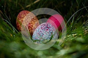 Colorful twin easter eggs