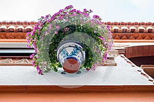 Colorful typical details of Andalusia photo