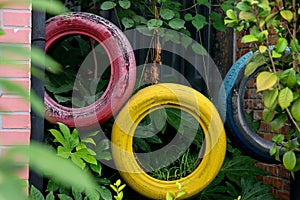 Colorful tyres decorations photo