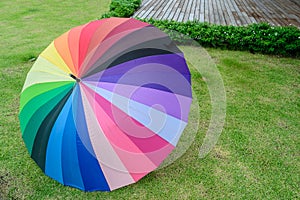 Colorful umbrella on green grass