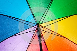 colorful umbrella in the rain