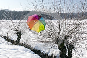 Colorful umbrella in snow