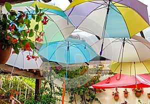 Colorful Umbrellas