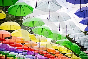 Colorful Umbrellas