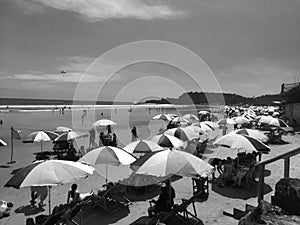 Colorful umbrellas at a beach with a summer feeling of the ocean in black and white