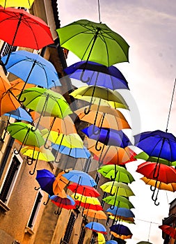 Colorful umbrellas in Novigrad