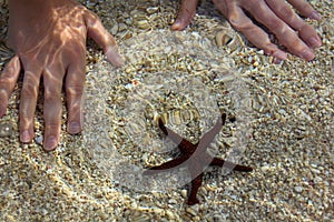 Colorful underwater scene.Meeting with a beautiful starfish.Sunlight reflection from seawater surface..