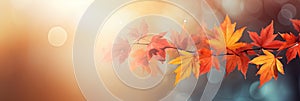 Colorful universal natural panoramic autumn background for design with orange leaves and blurred background