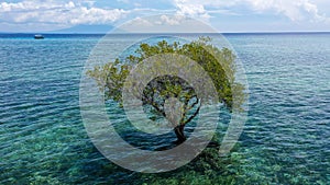 Colorful vacation shot with lone green mangrove tree in the middle of the ocean filled with blue green water. The cloudy